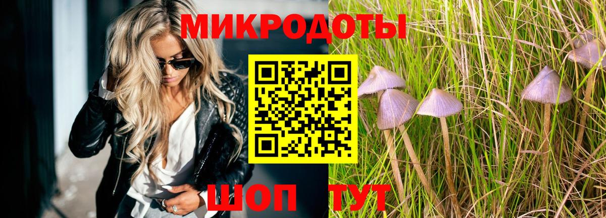 сколько стоит  Вход с VPN  Вичуга  Псилоцибиновые грибы ЛСД 