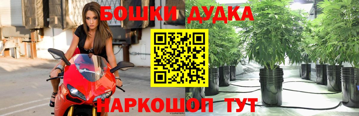 Бошки Шишки планчик Вичуга